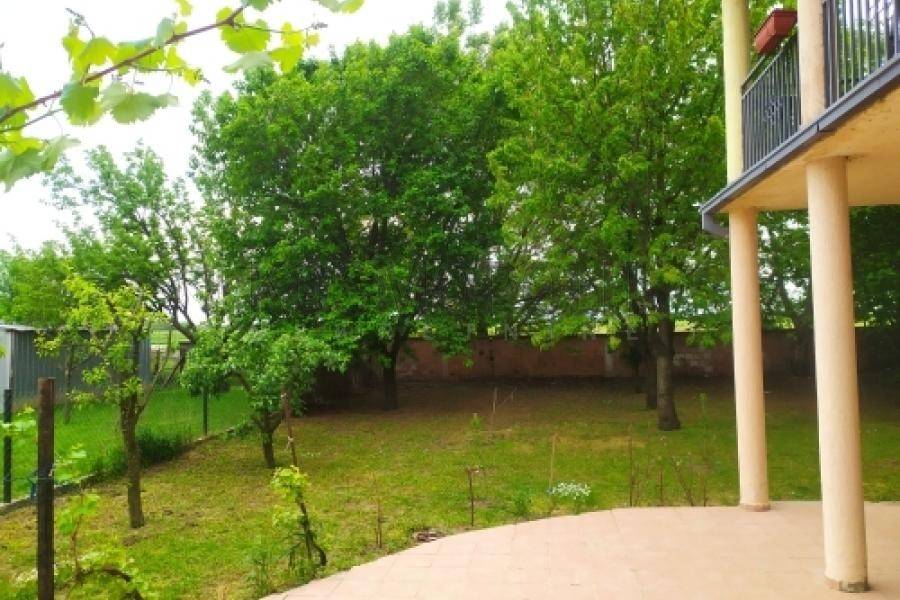 Foto 8