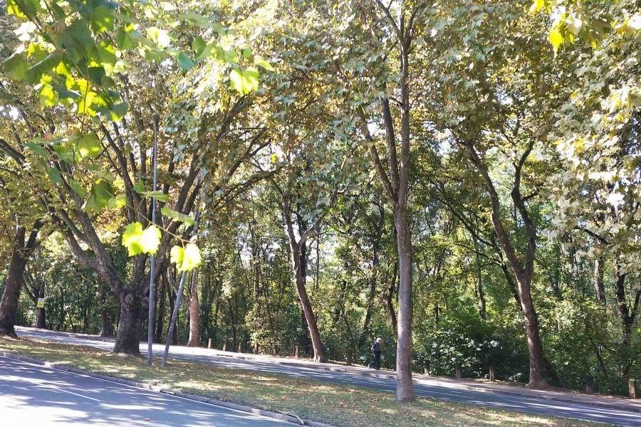 Foto 19