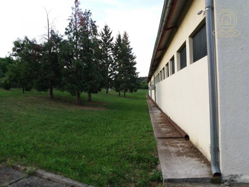 Foto 10