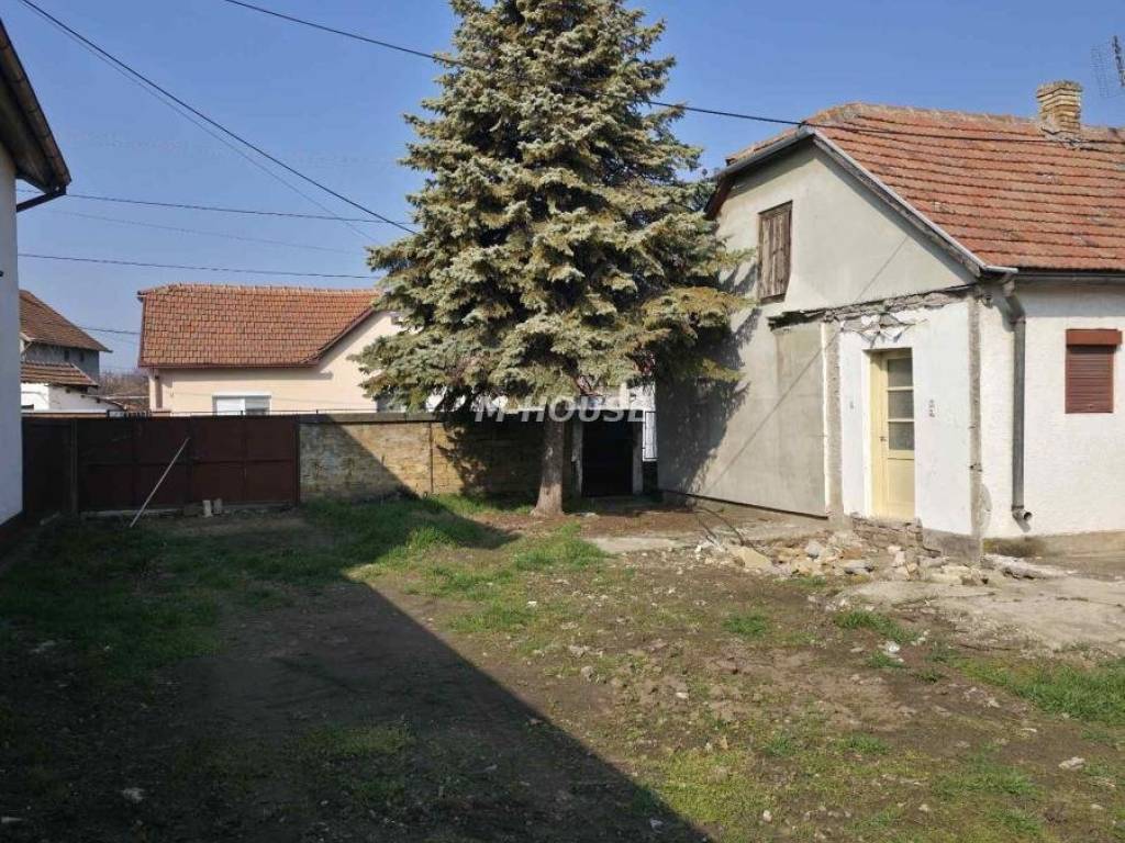 Foto 21