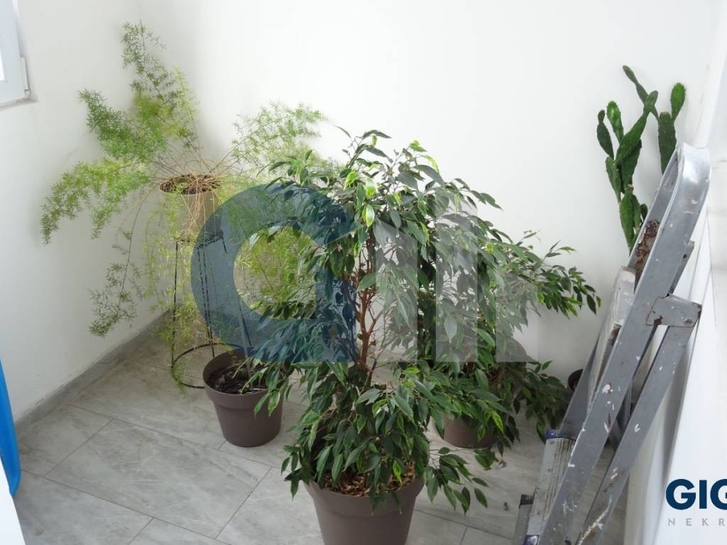 Foto 16