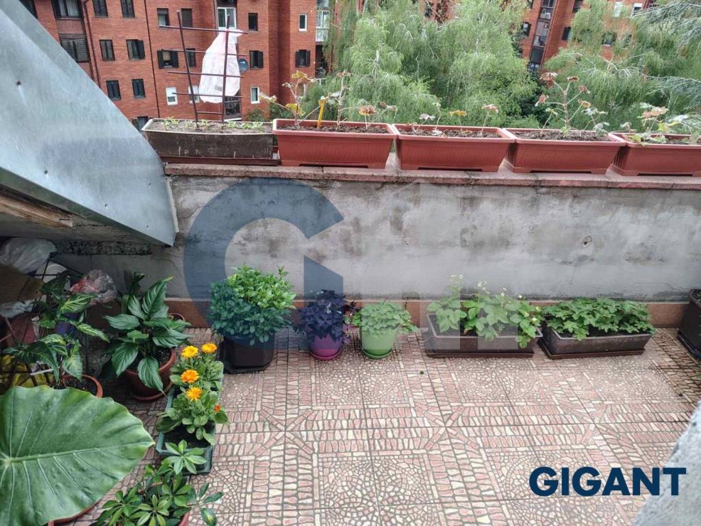 Foto 18