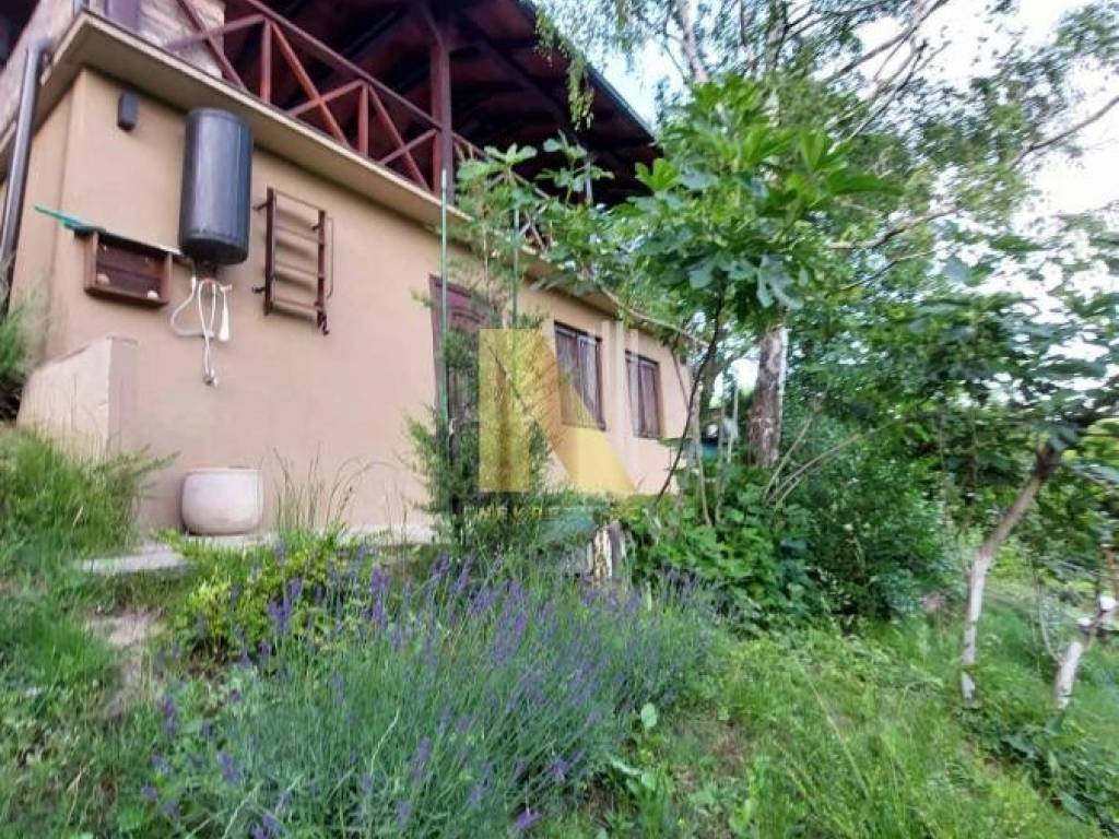 Foto 9