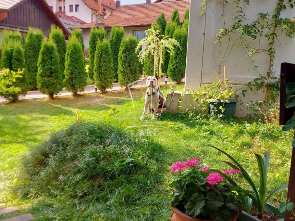 Foto 13