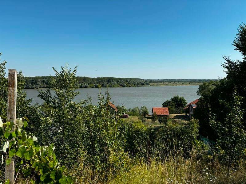 Foto 12