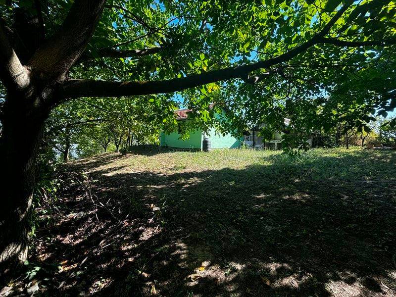 Foto 17
