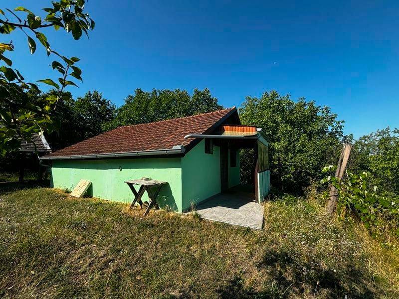 Foto 19