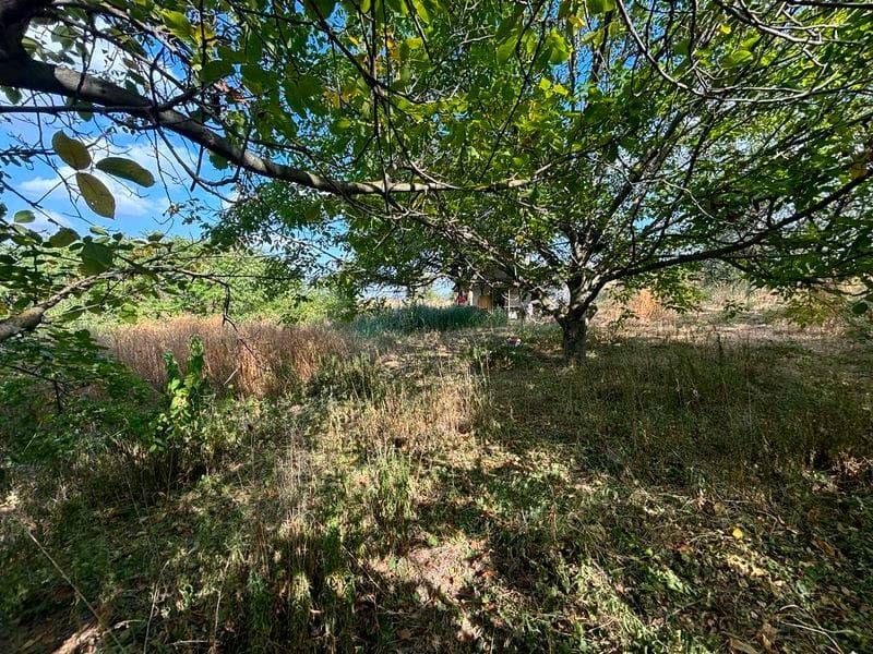 Foto 11