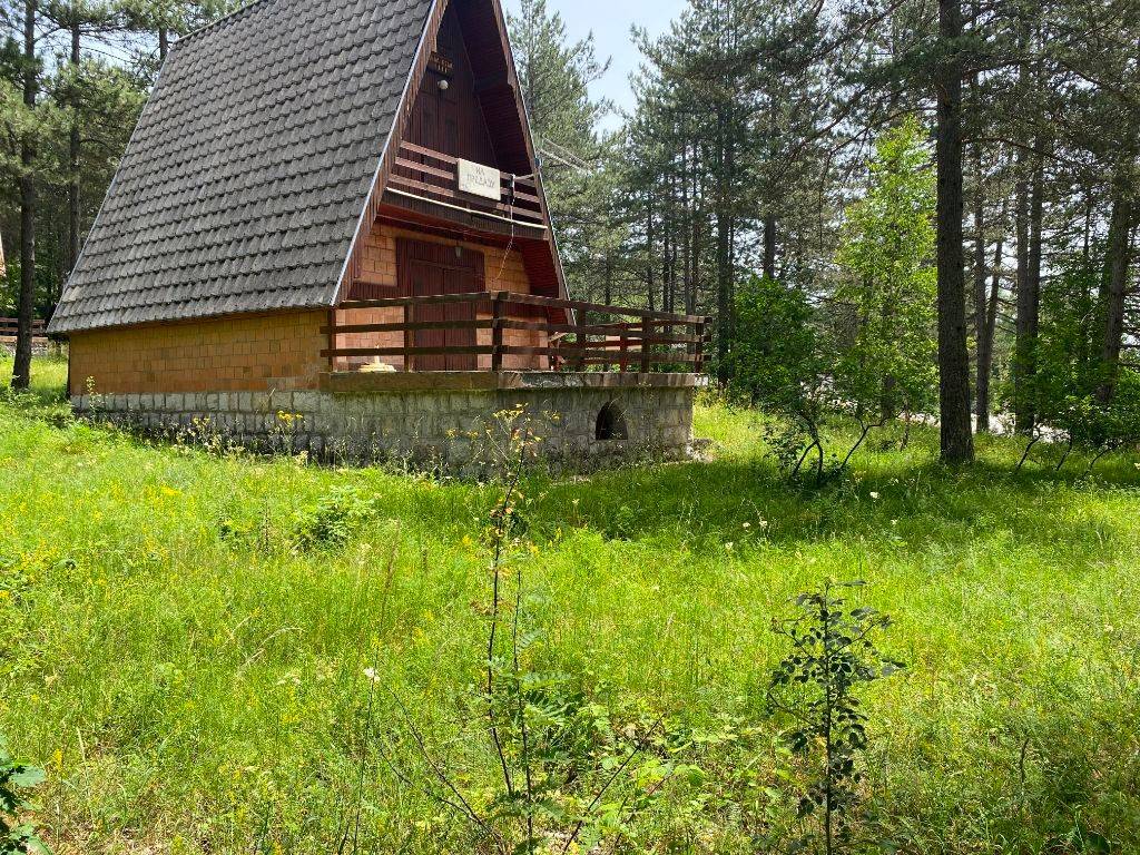 Foto 7