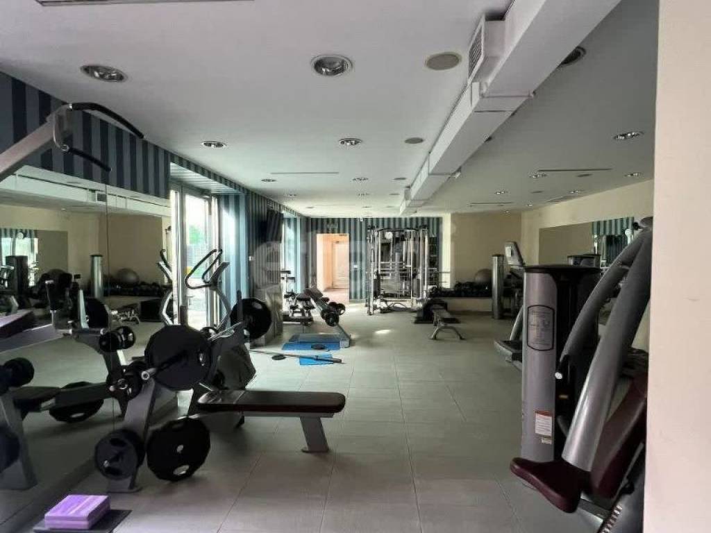 Foto 19