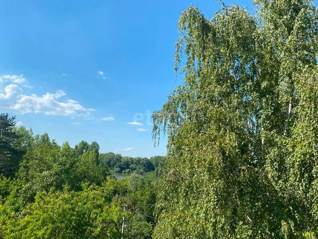 Foto 41