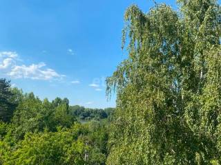 Foto 41