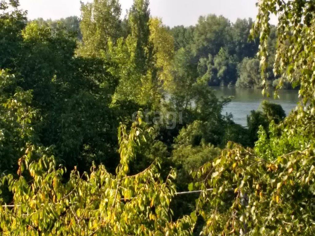 Foto 42