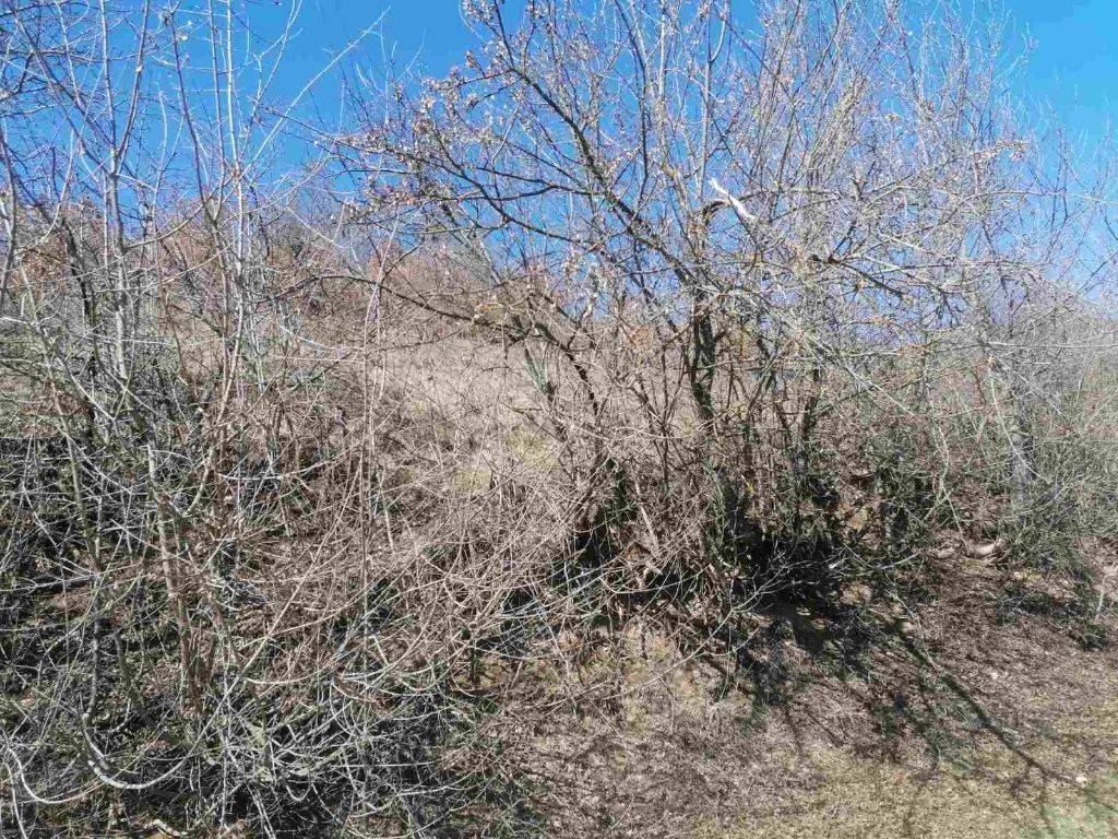 Foto 11