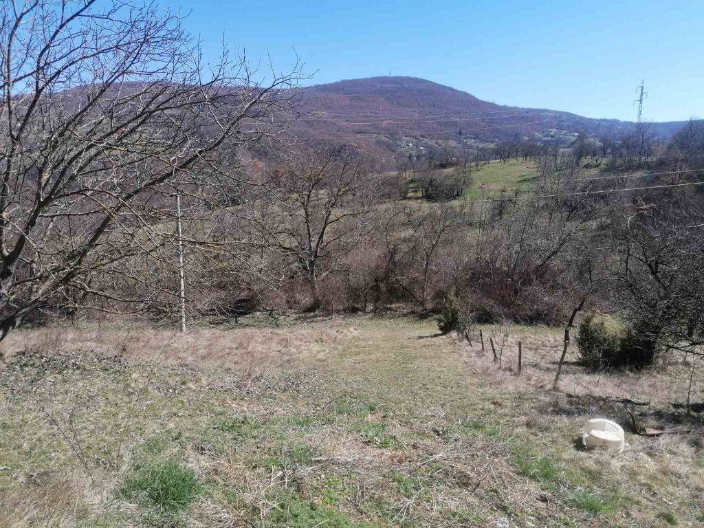 Foto 12