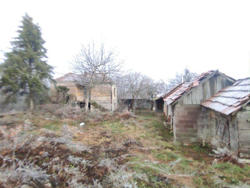 Foto 8