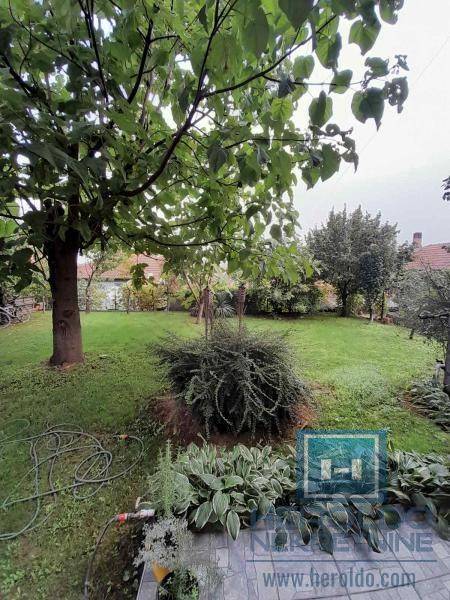 Foto 31