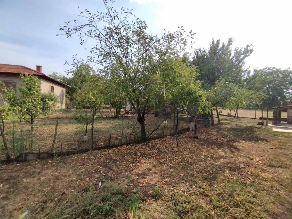 Foto 15