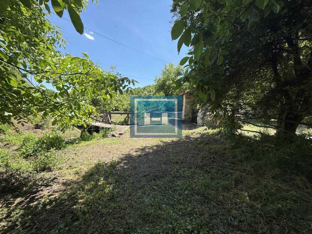 Foto 50