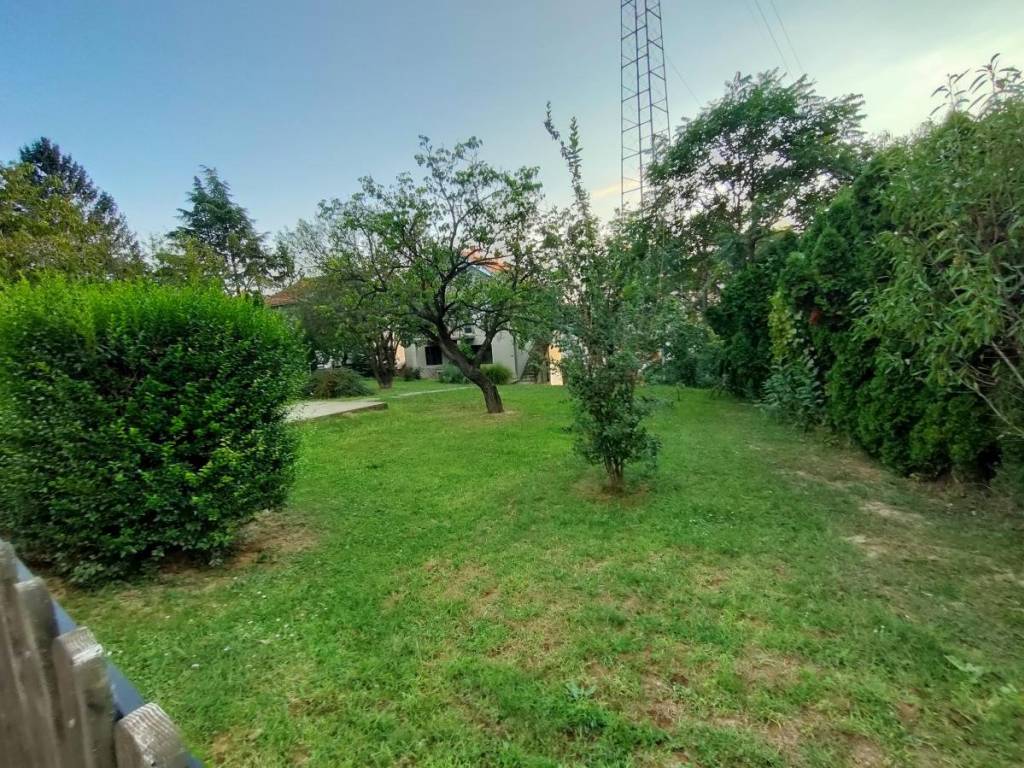 Foto 24