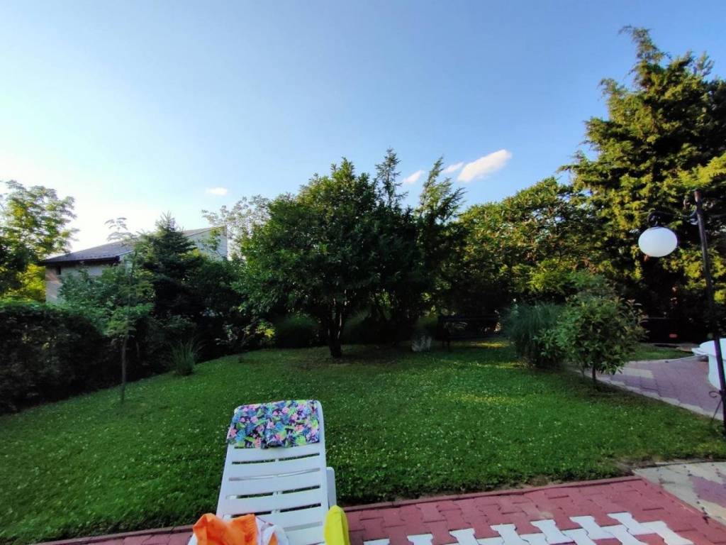 Foto 23