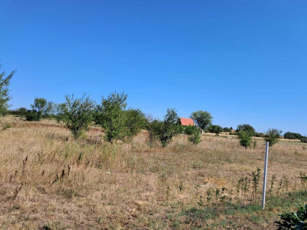 Foto 29