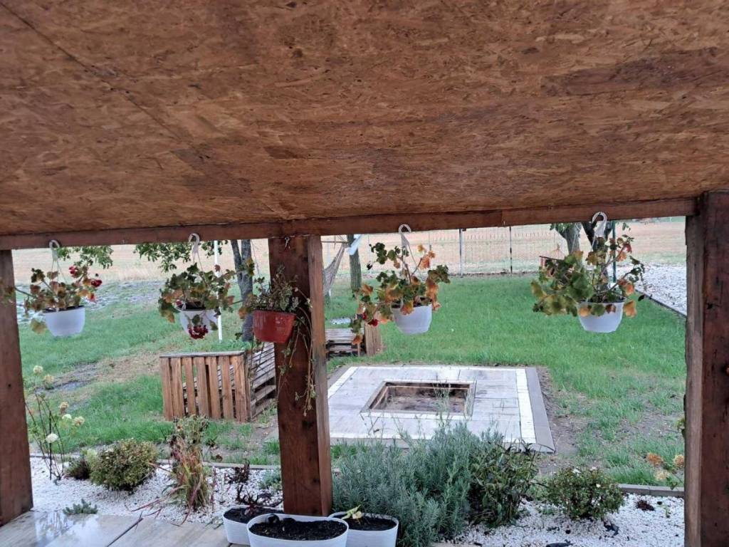 Foto 42