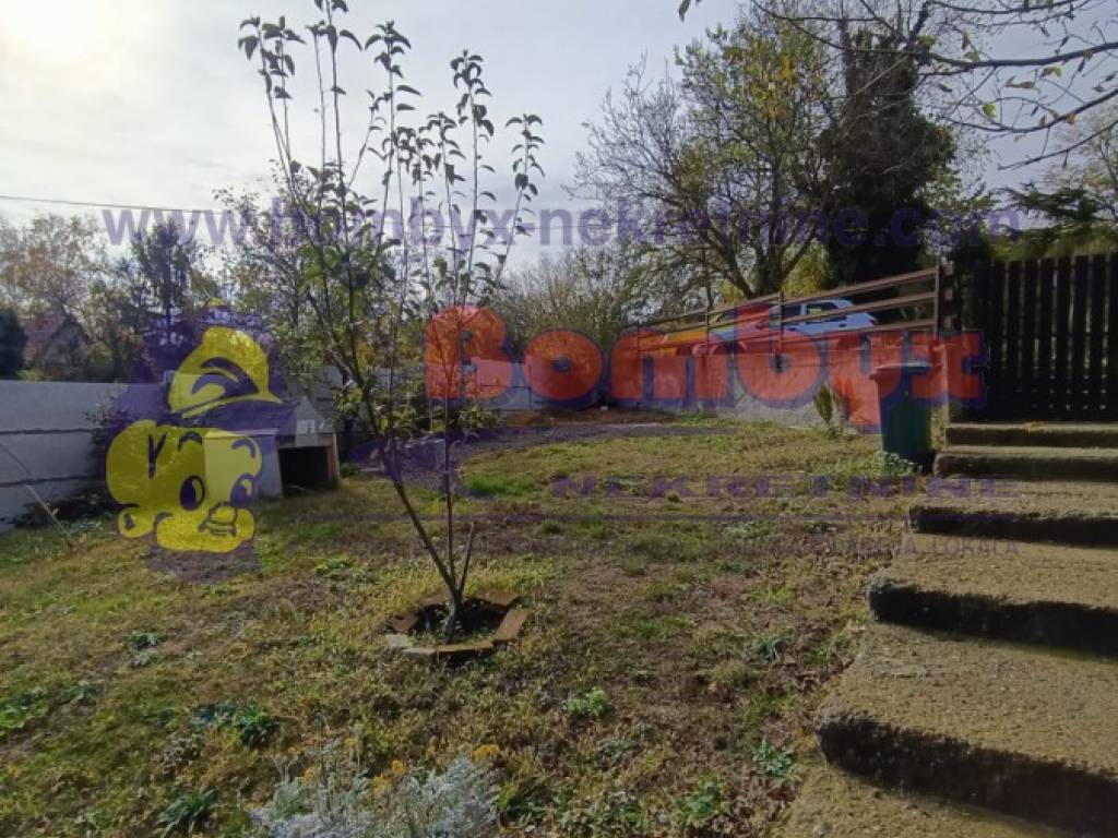 Foto 19