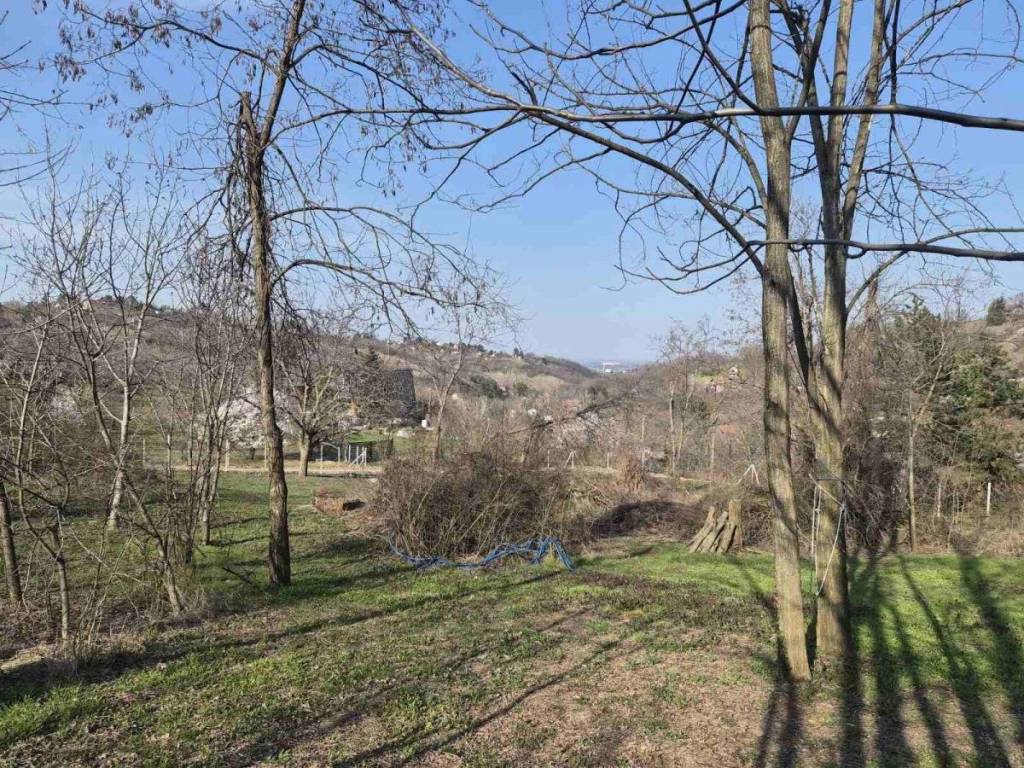 Foto 21