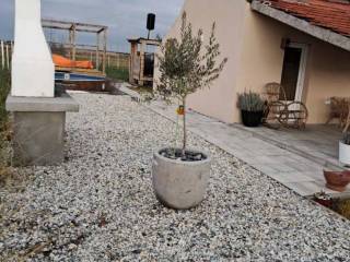 Foto 48