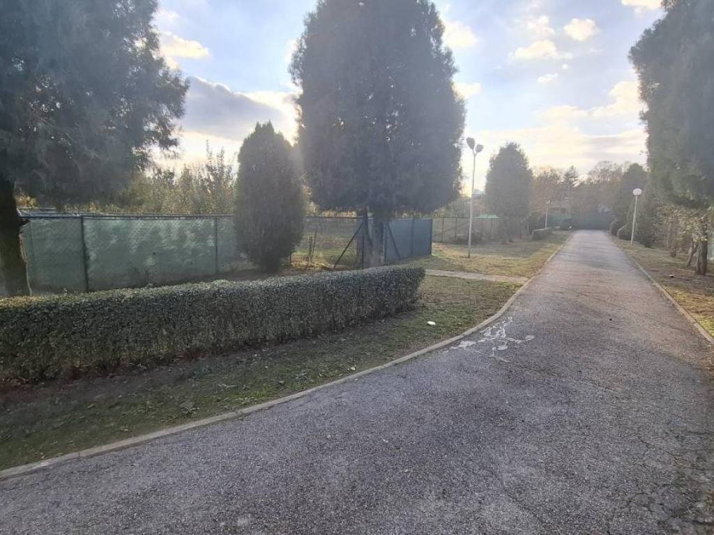 Foto 19