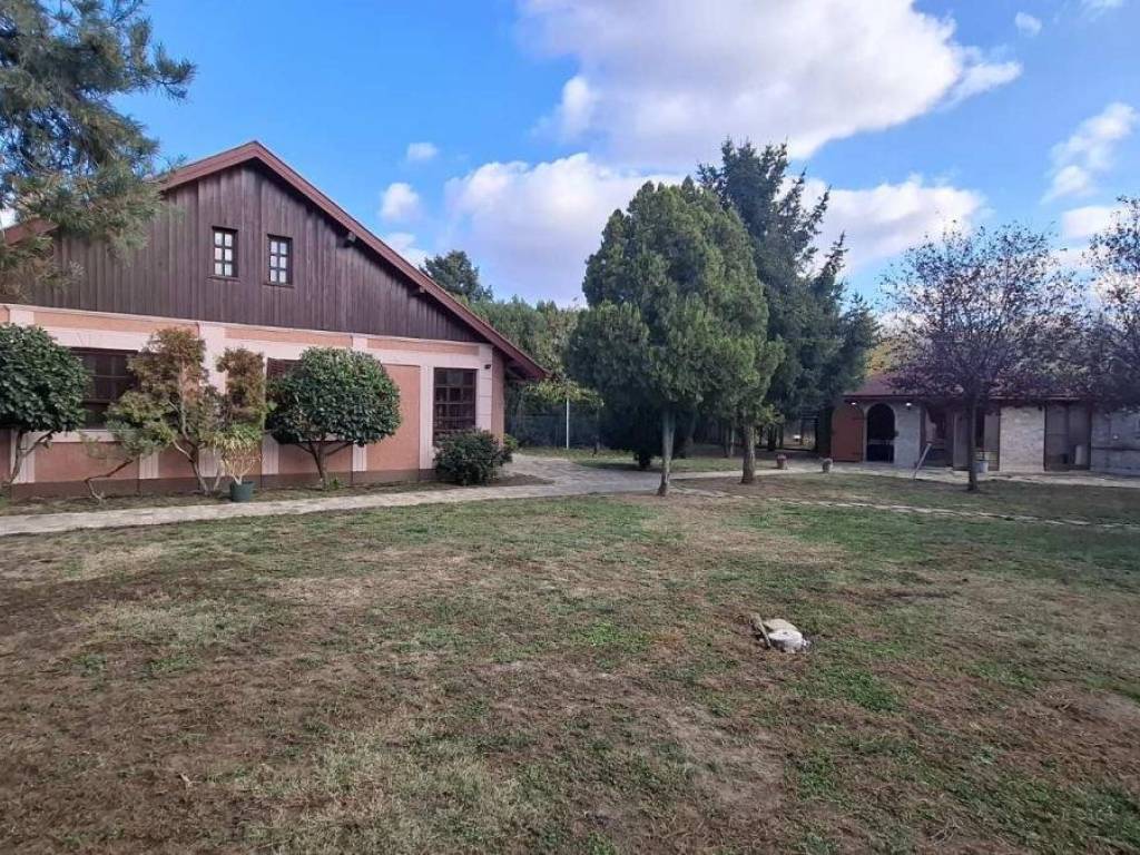 Foto 21