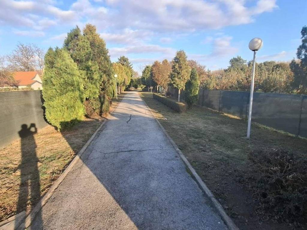 Foto 41