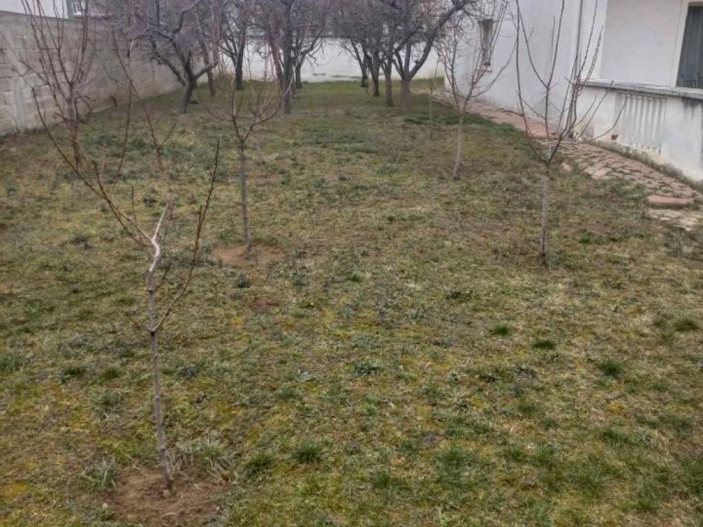 Foto 23