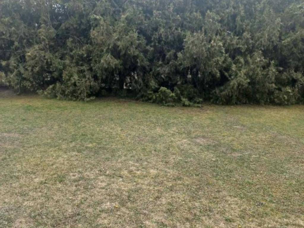 Foto 24