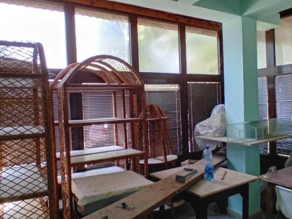 Foto 8