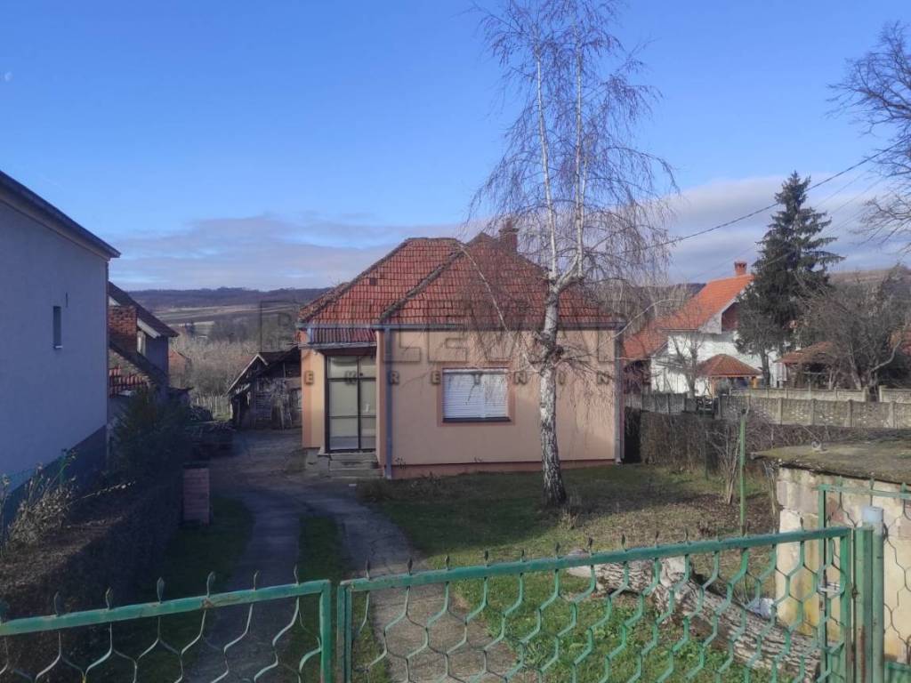 Foto 21