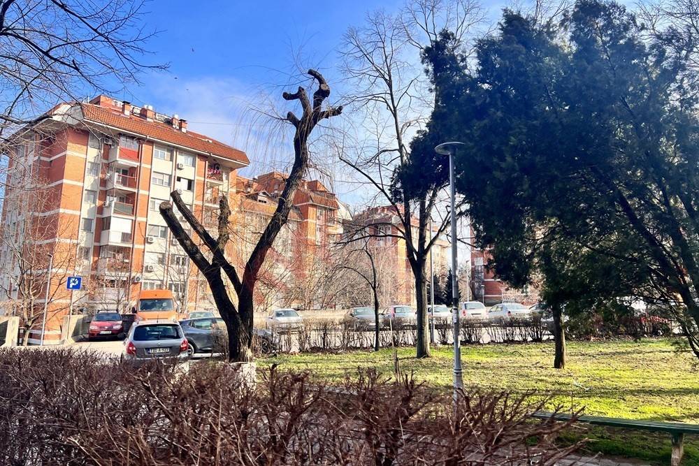 Foto 15