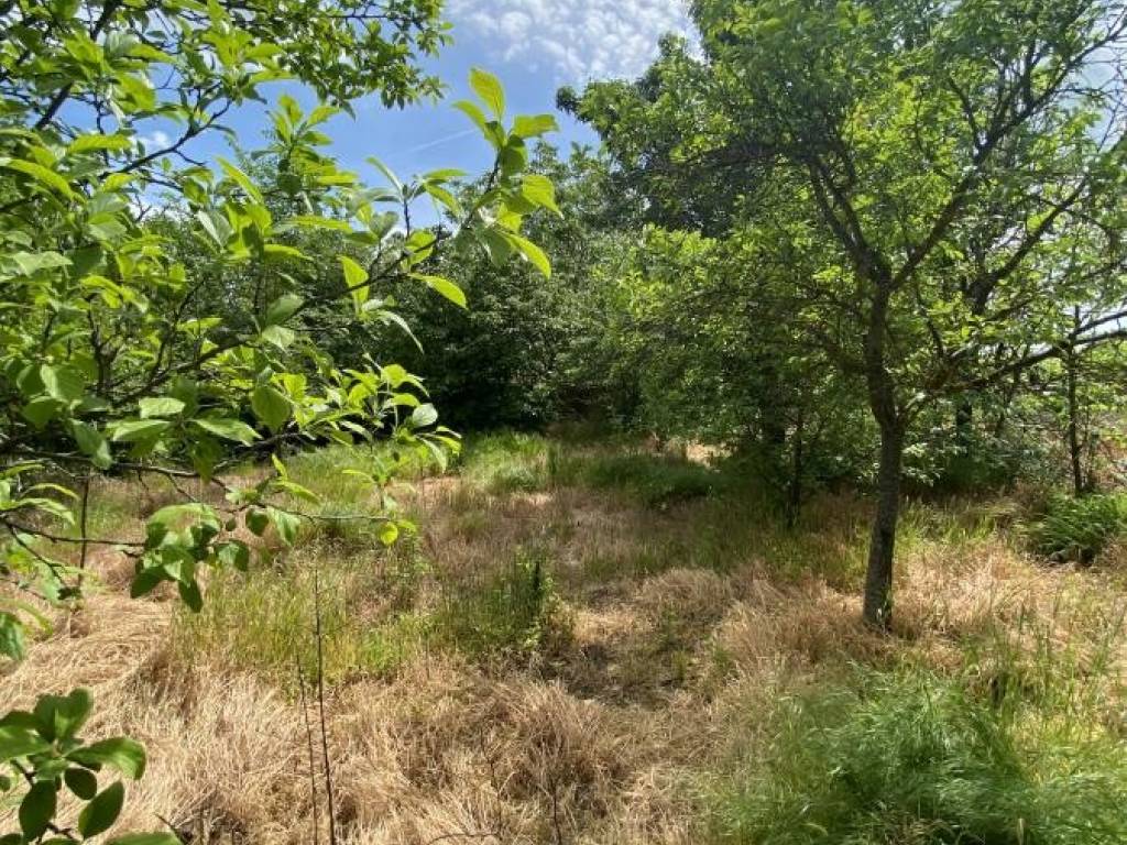 Foto 17