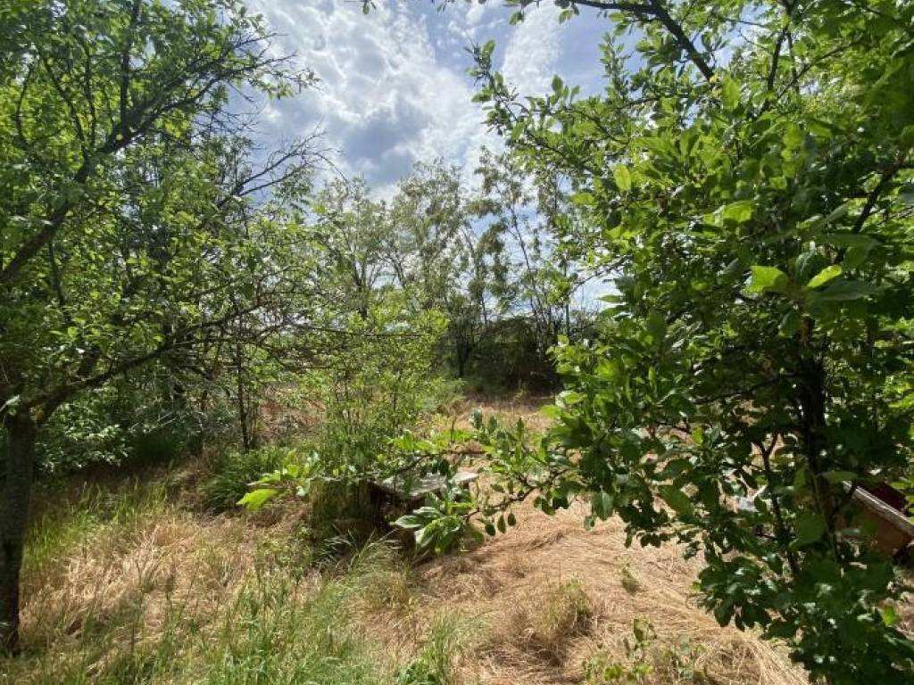 Foto 18