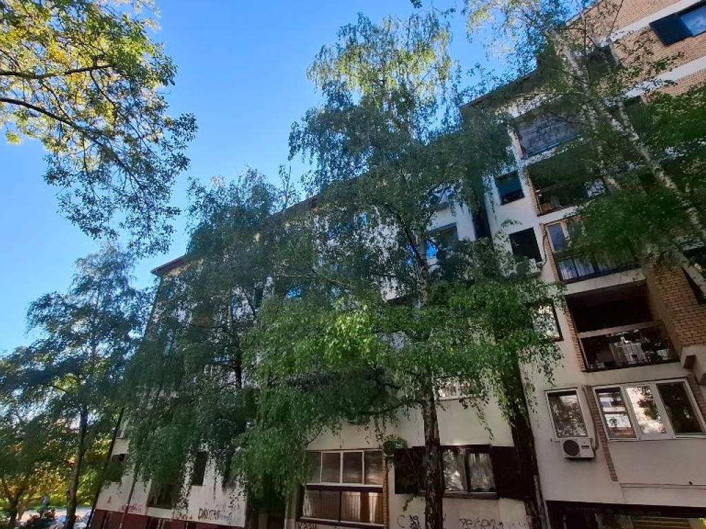 Foto 19
