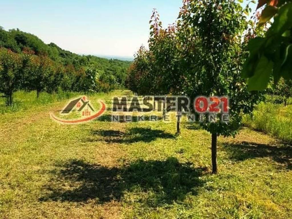 Foto 17