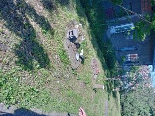 Foto 31