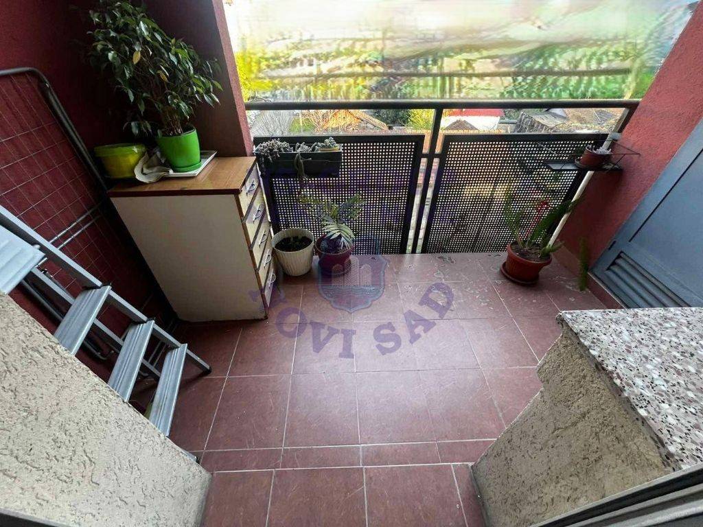 Foto 7