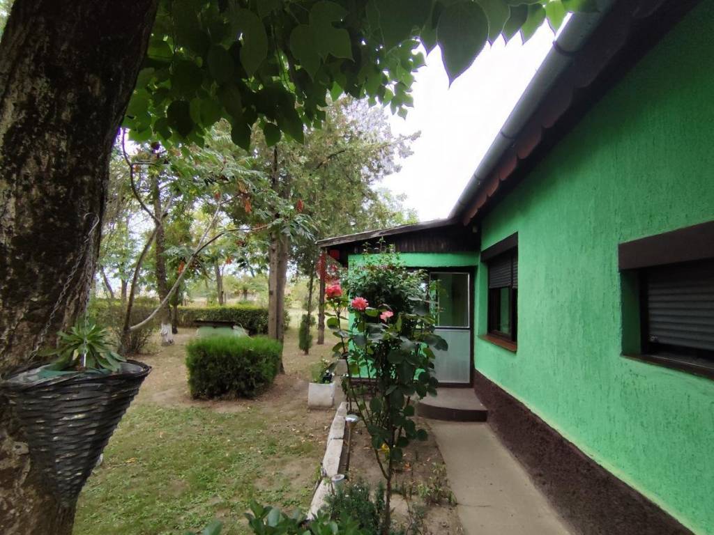 Foto 11