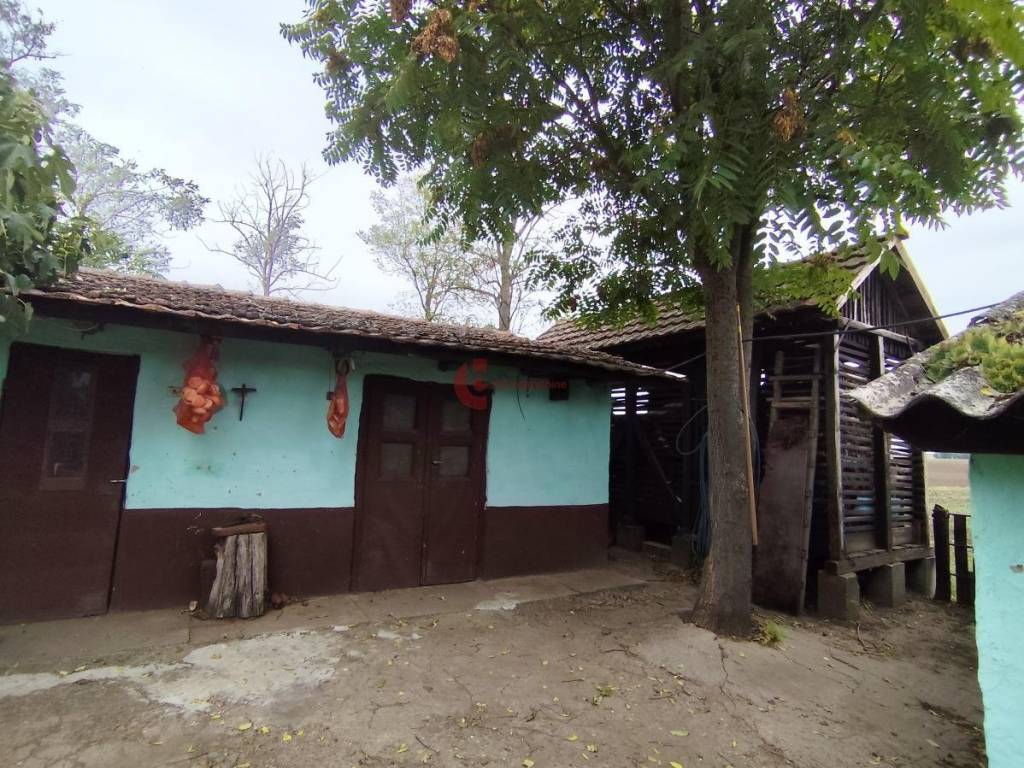 Foto 14