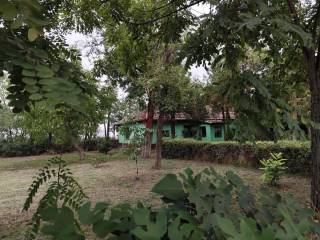Foto 17