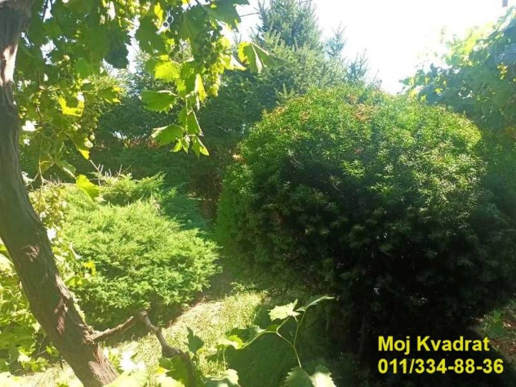 Foto 19