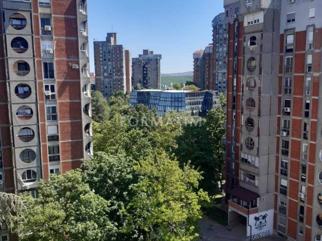 Foto 19