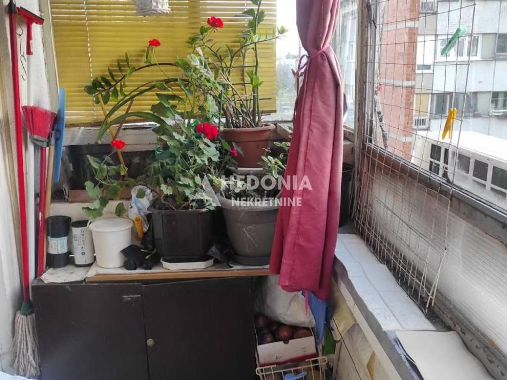 Foto 9